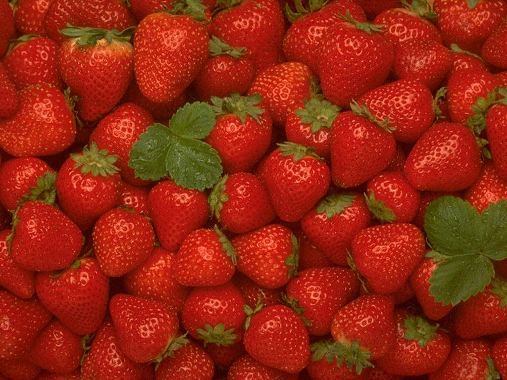 322225-strawberry-wallpaper-fruit-6102241-1024-768