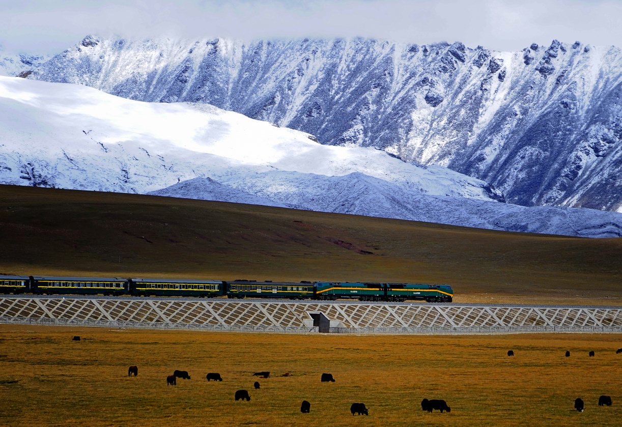 qingzang_railway_train_01