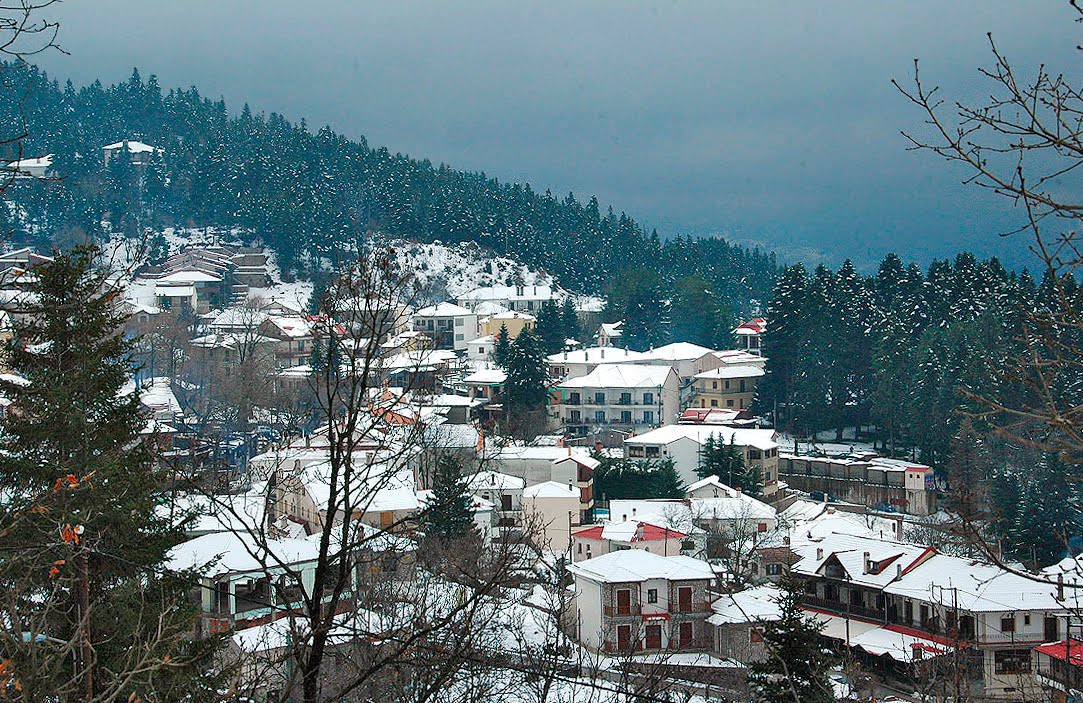 elati_trikalwn
