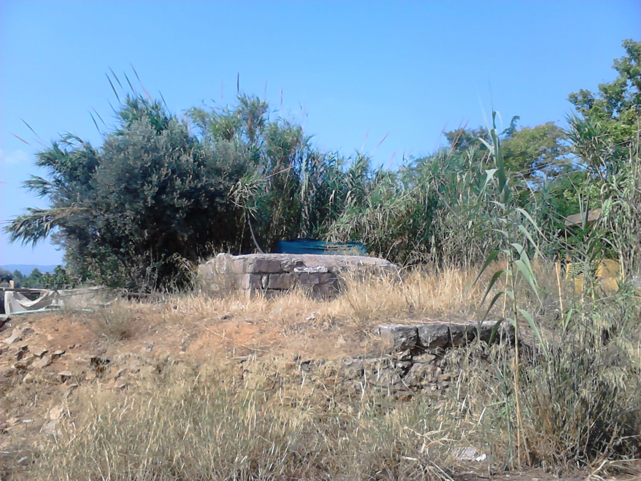 phgadi