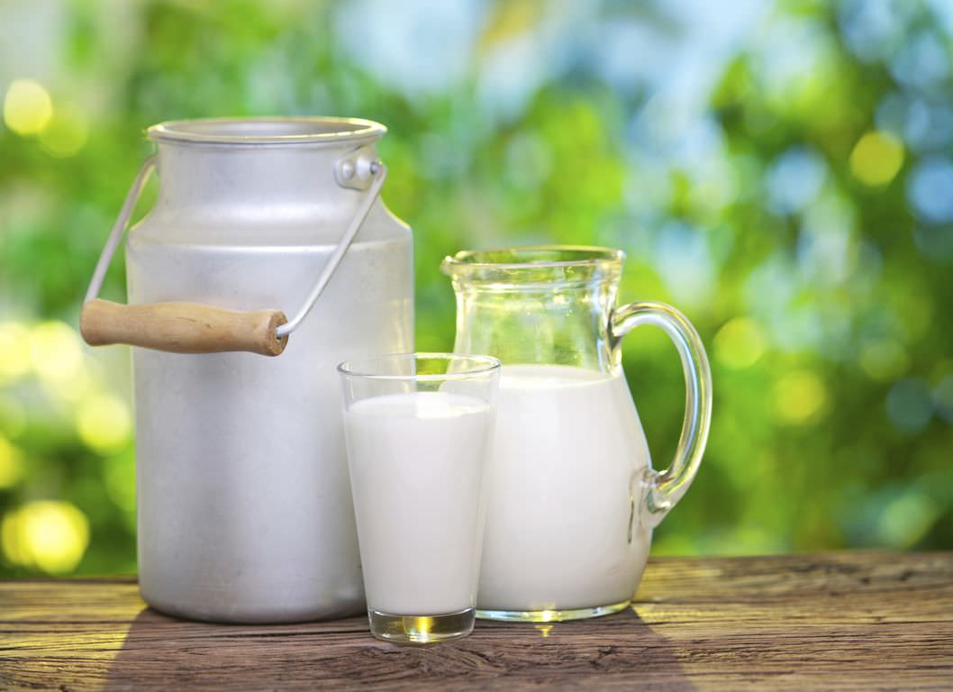 Milk in various dishes.