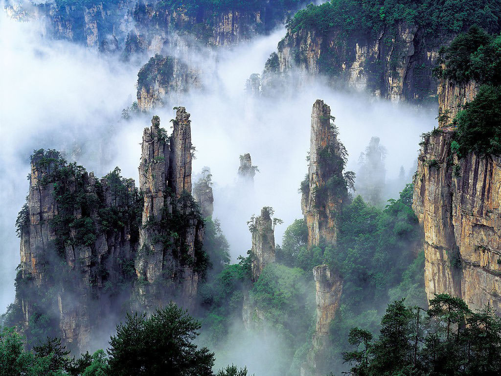 tianzi