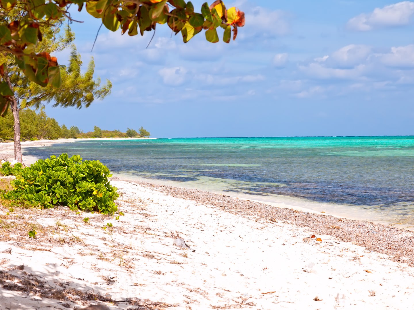 Seven-Mile-Beach-cayman-GettyImages-166149349