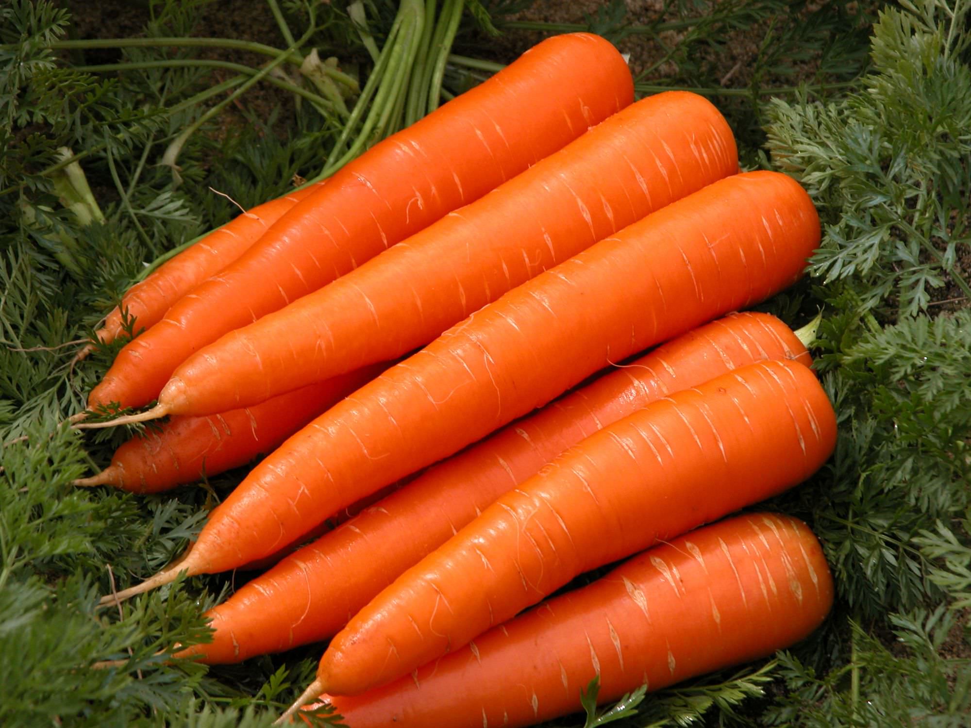 carrots