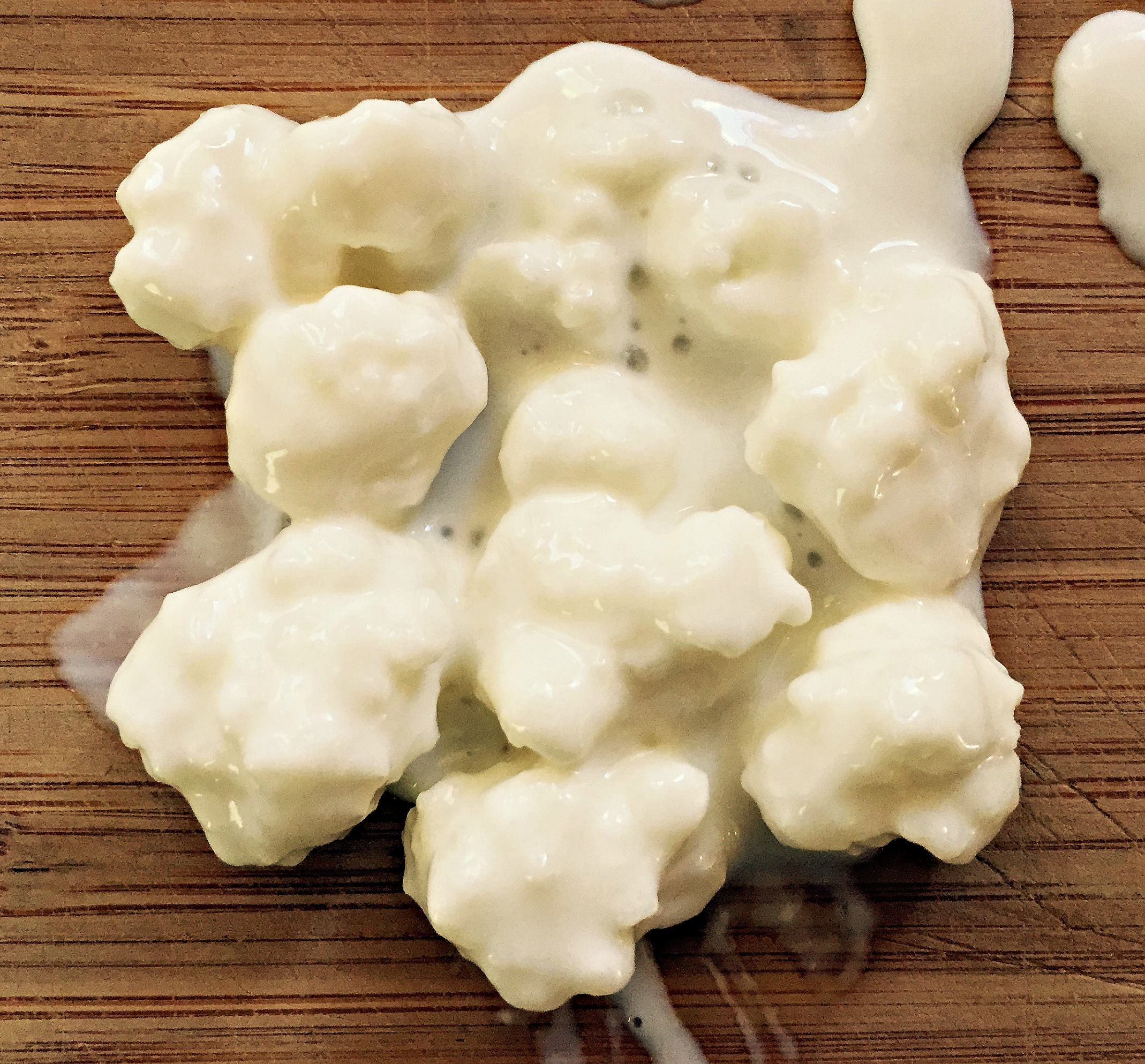 milk-kefir-grains-2