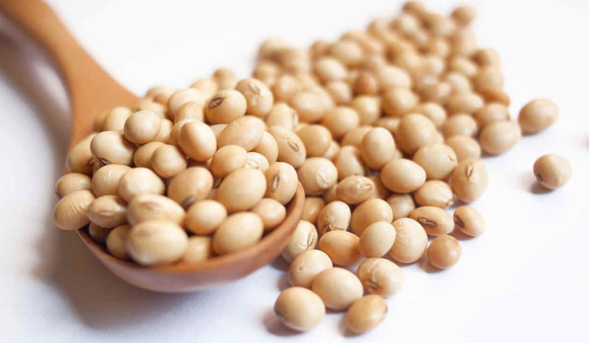 soya