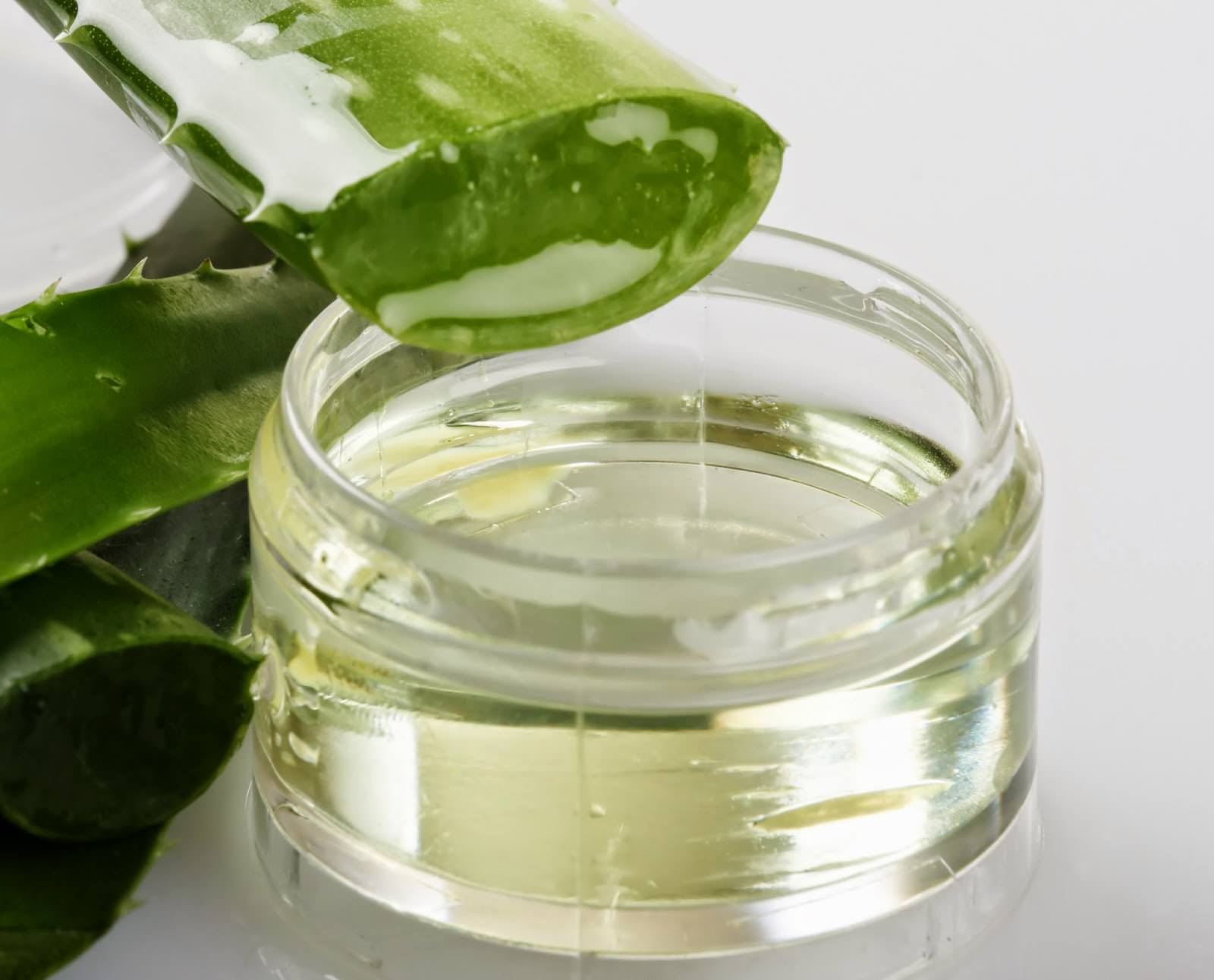 Aloe-vera-1
