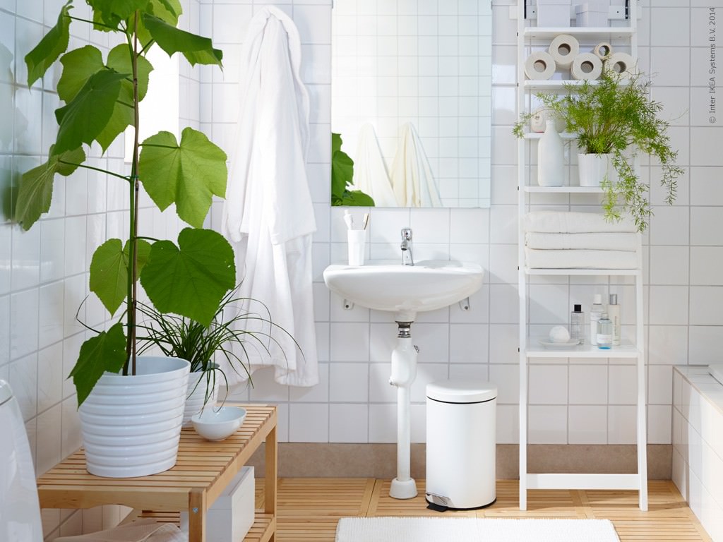bathroom-with-plants-1024x768