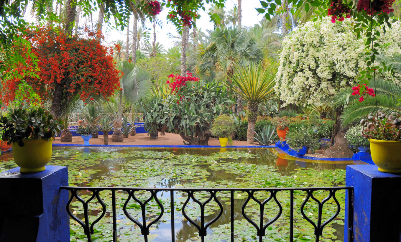 jardin-majorelle