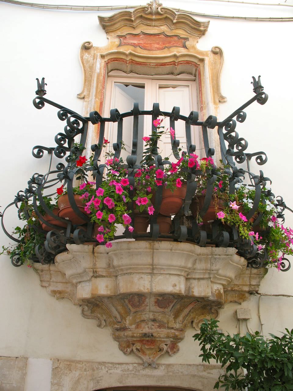 p6flowers