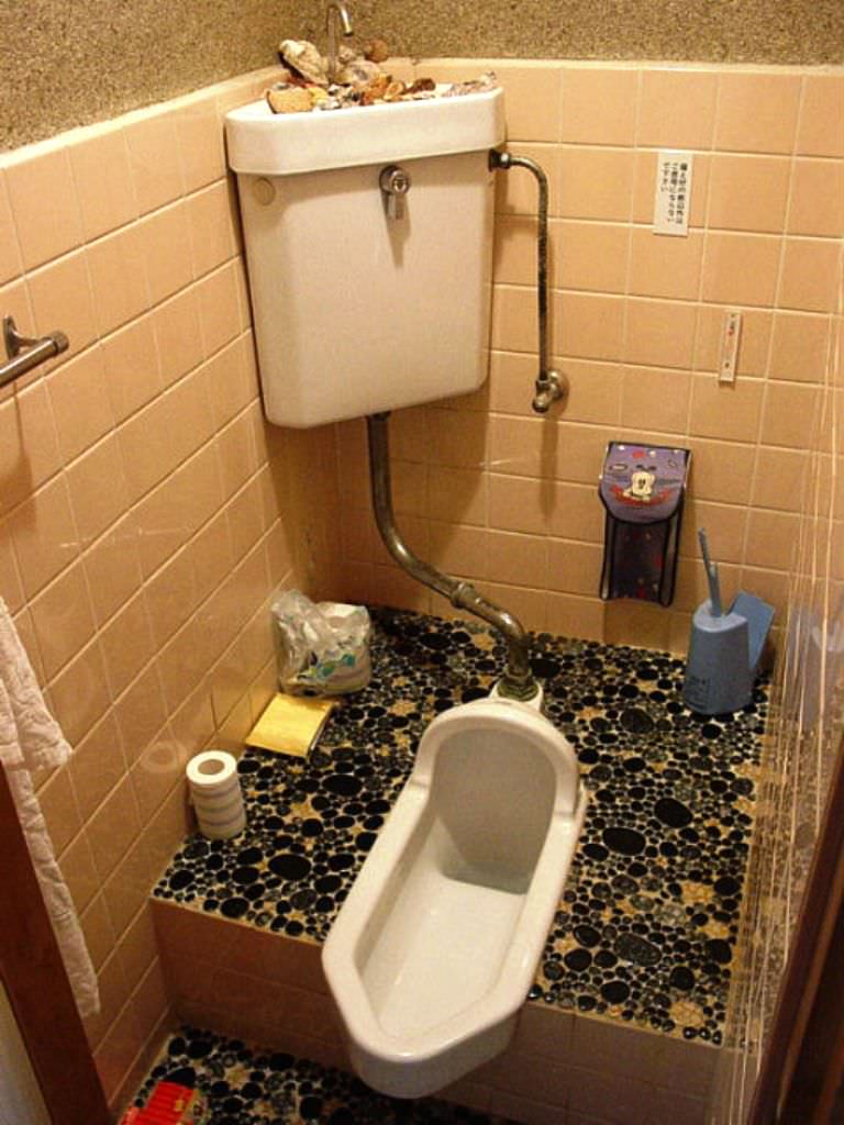 weird-Latrines-from-around-the-world-sekkun-10