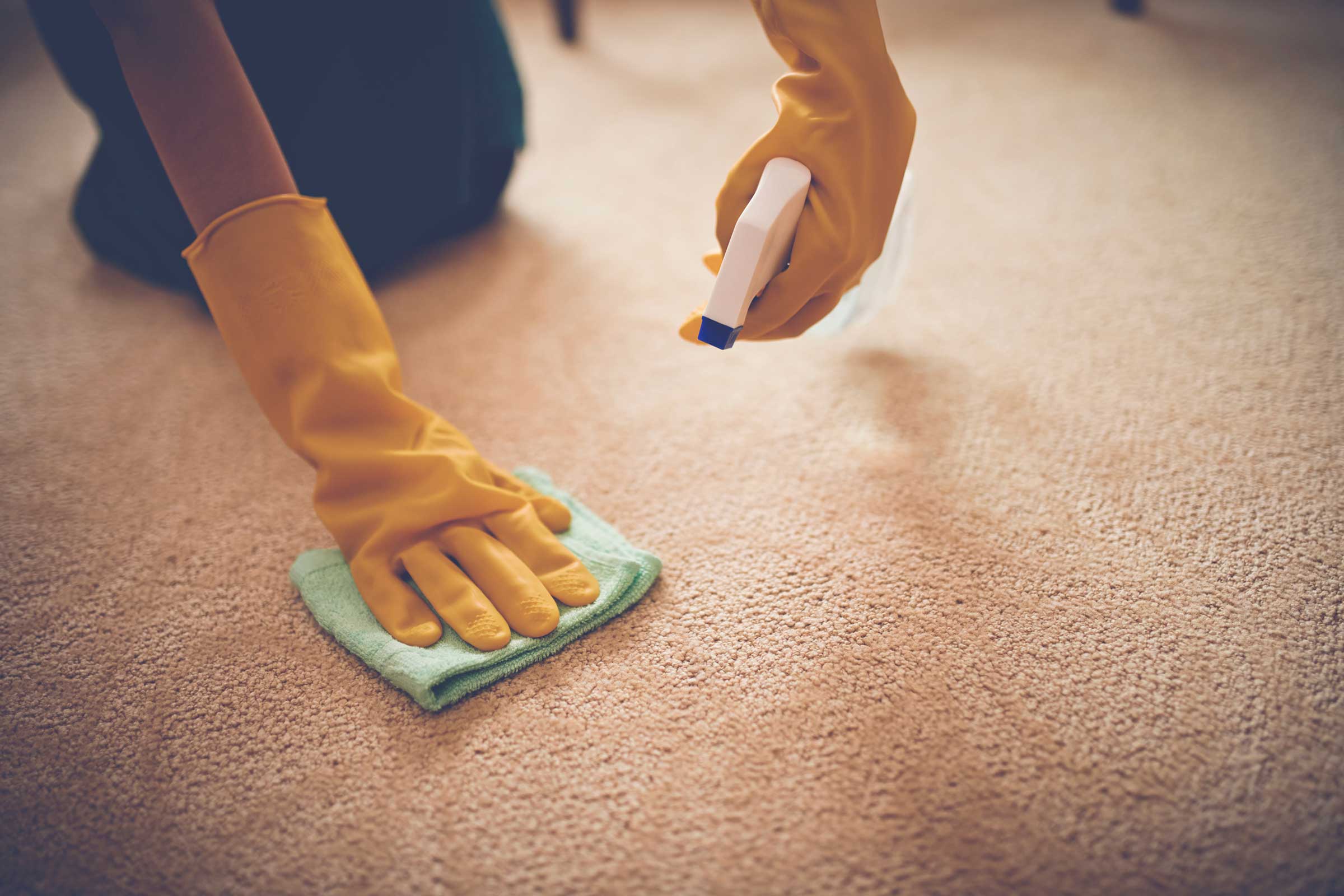 03_reasons_need_cornstarch_other_cooking_furniture_ink_stain_carpet_DragonImages