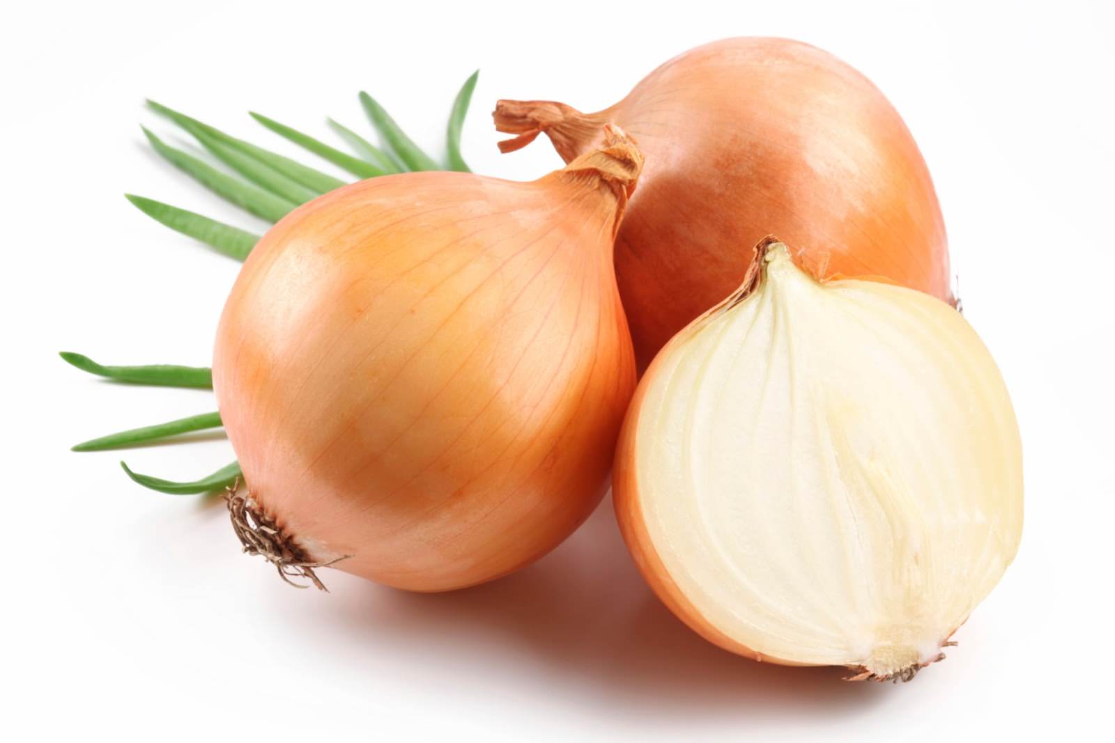 Onion