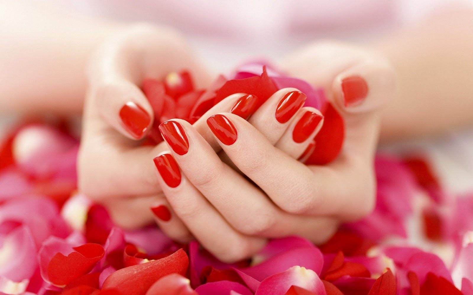 beautiful-hands-rose-petals