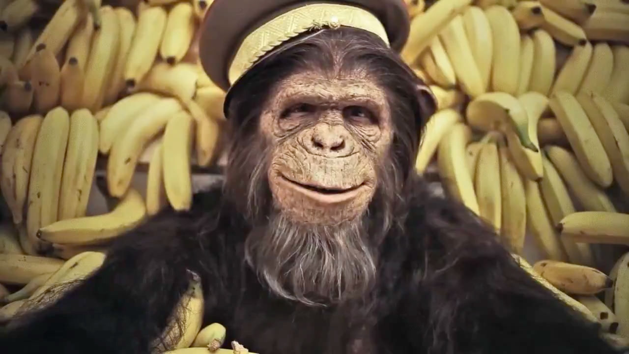 deep-youtube-monkey-hed-2014