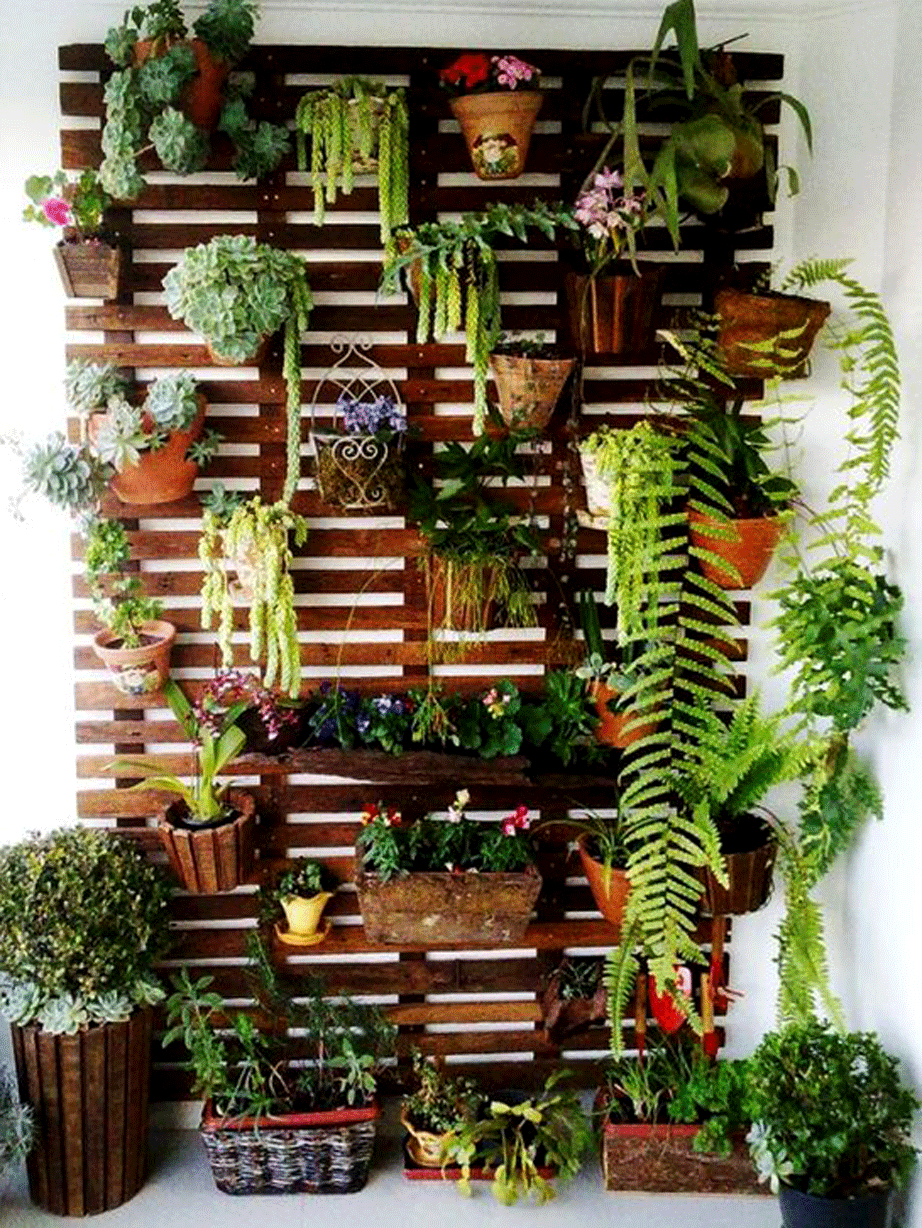thehomeissue_veranda08