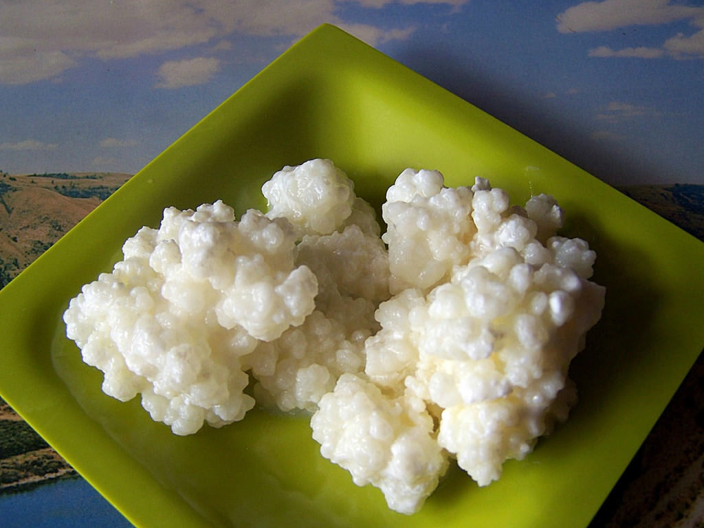 kefir555-1024x768