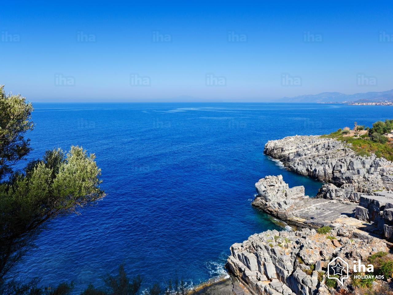 maurobouni