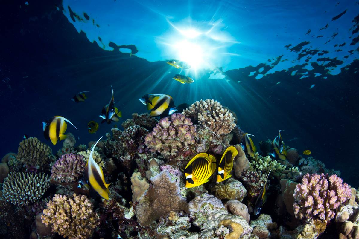 ss-130603-underwater-wide-3.ss_full
