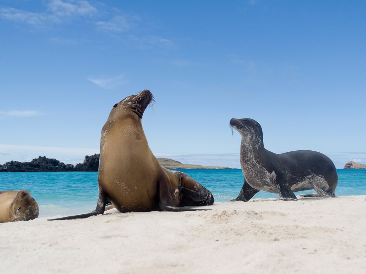 5galapagos-islands