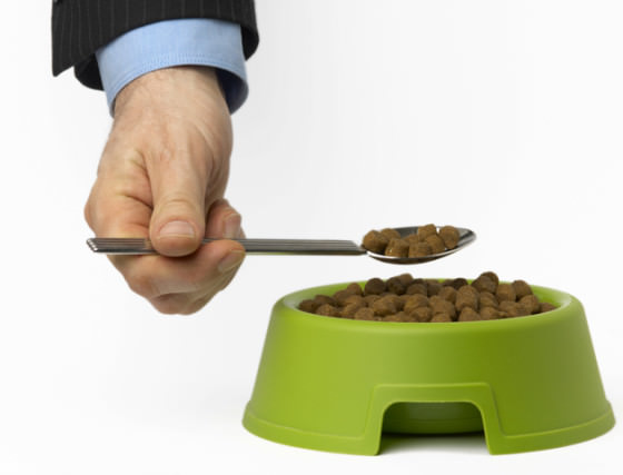 Eating our own dogfood