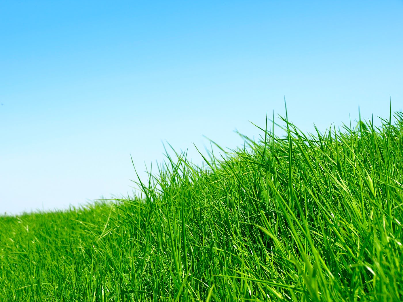 green_grass