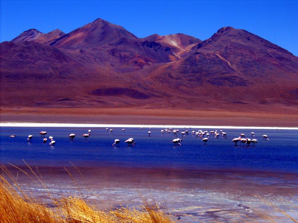 laguna-por-siloli-potosi