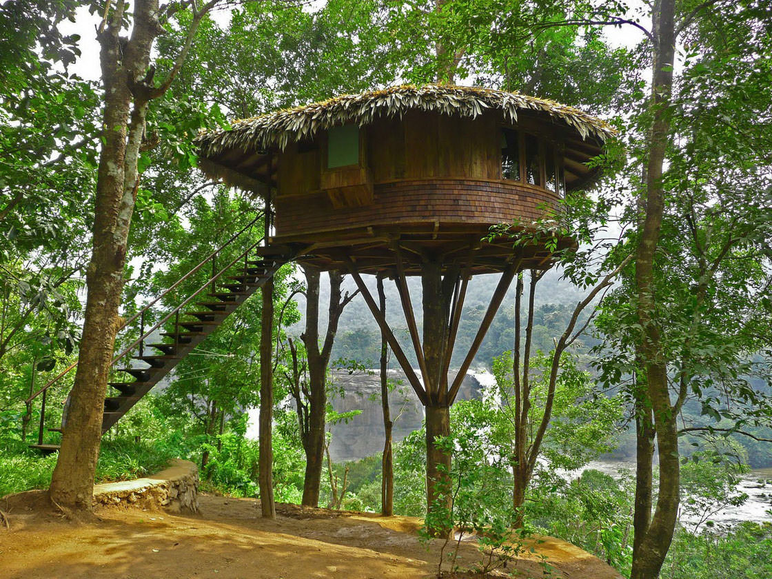 treehouse-6