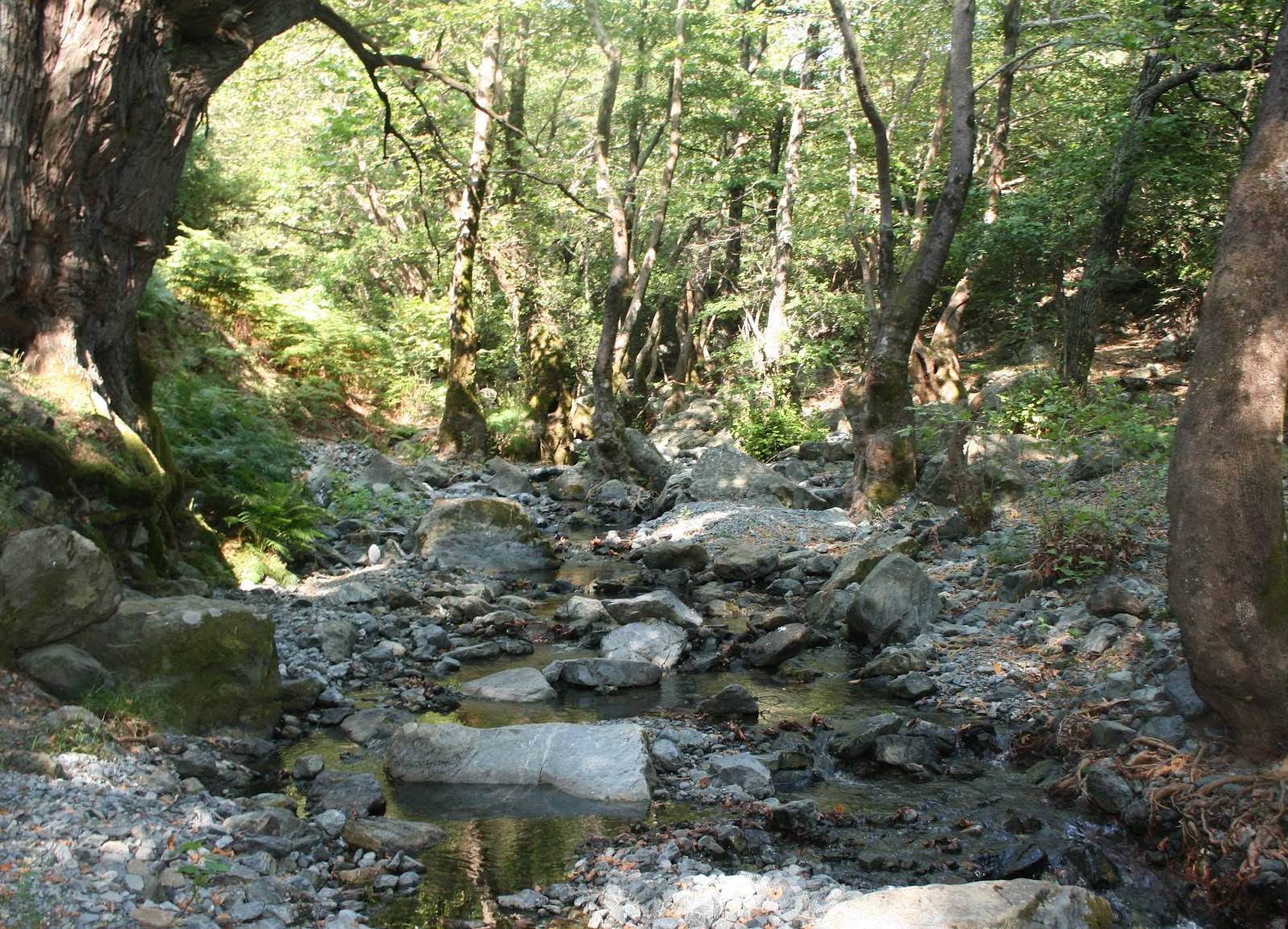 βάθρα;