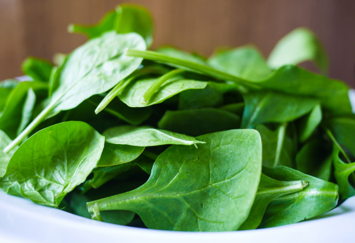 spinach-2013-003