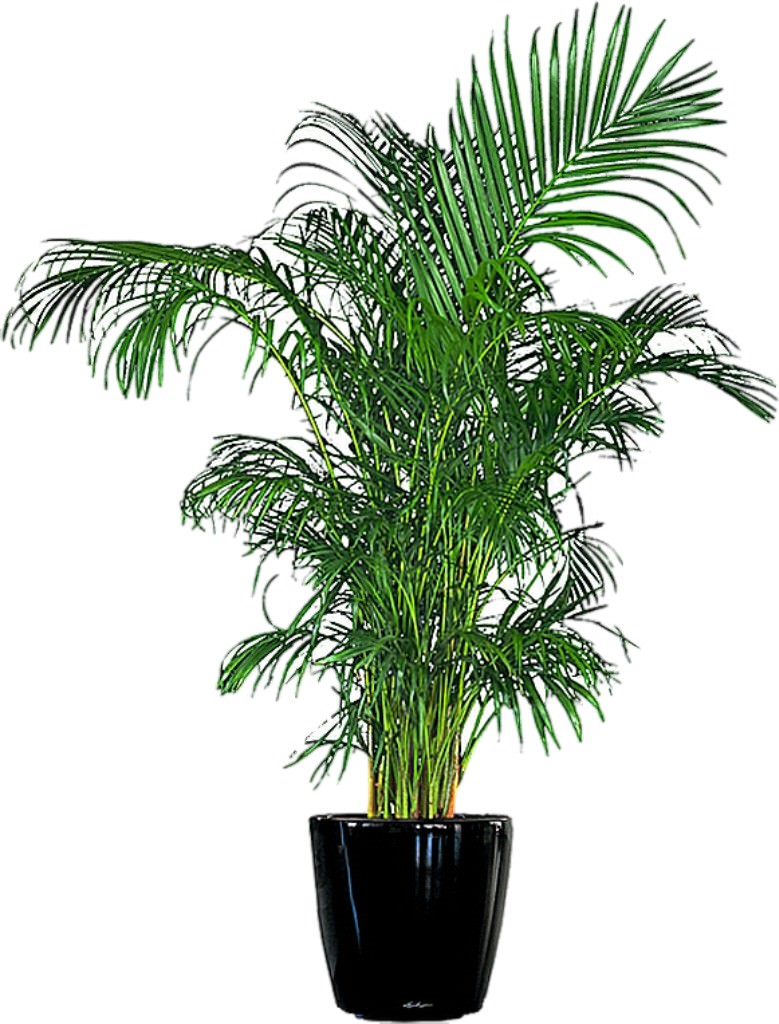 190-210cm.-130e
