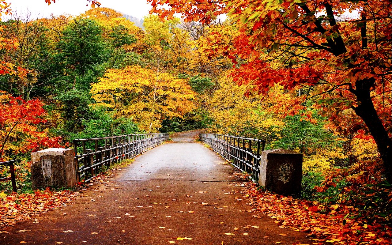 Autumn-Wallpaper-autumn-35867750-1280-800