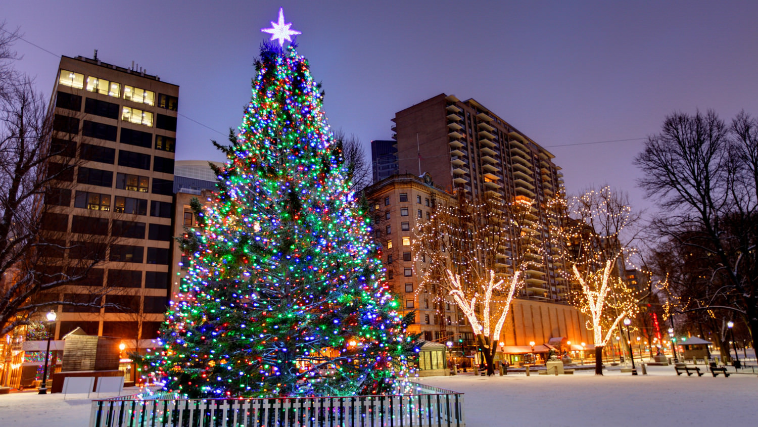 boston-christmas-tree-lit-2016-2_horiz