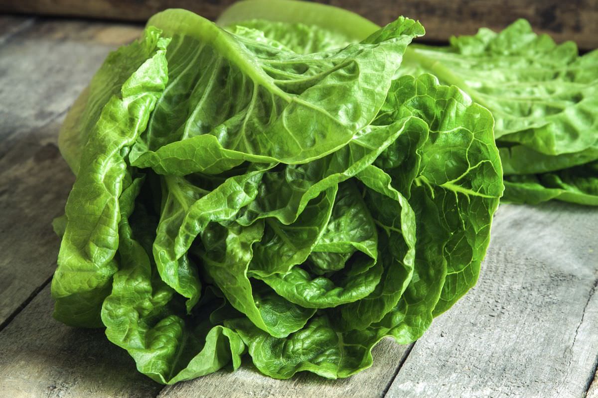 ripe organic green salad Romano