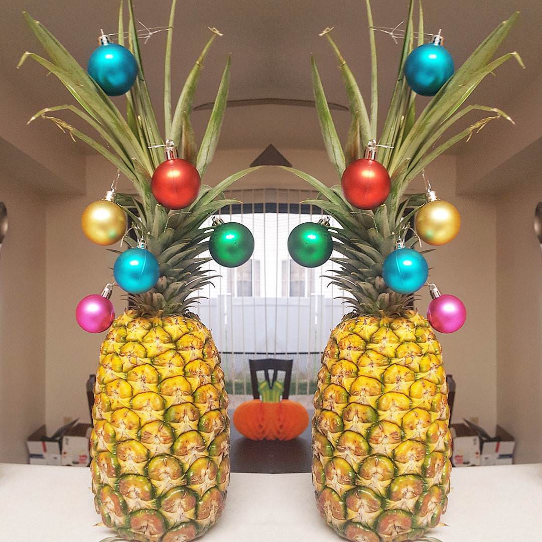 23279897_716481631873883_1962667833703792640_n