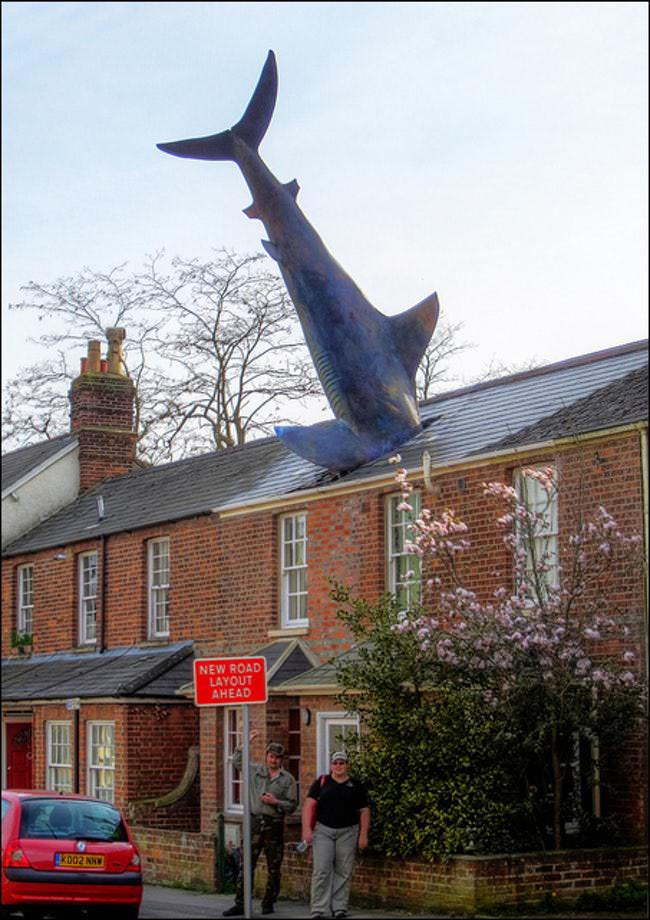 The Headington Shark