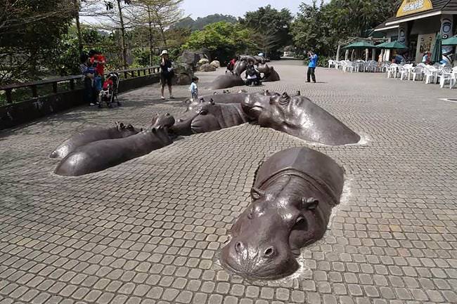 hippos