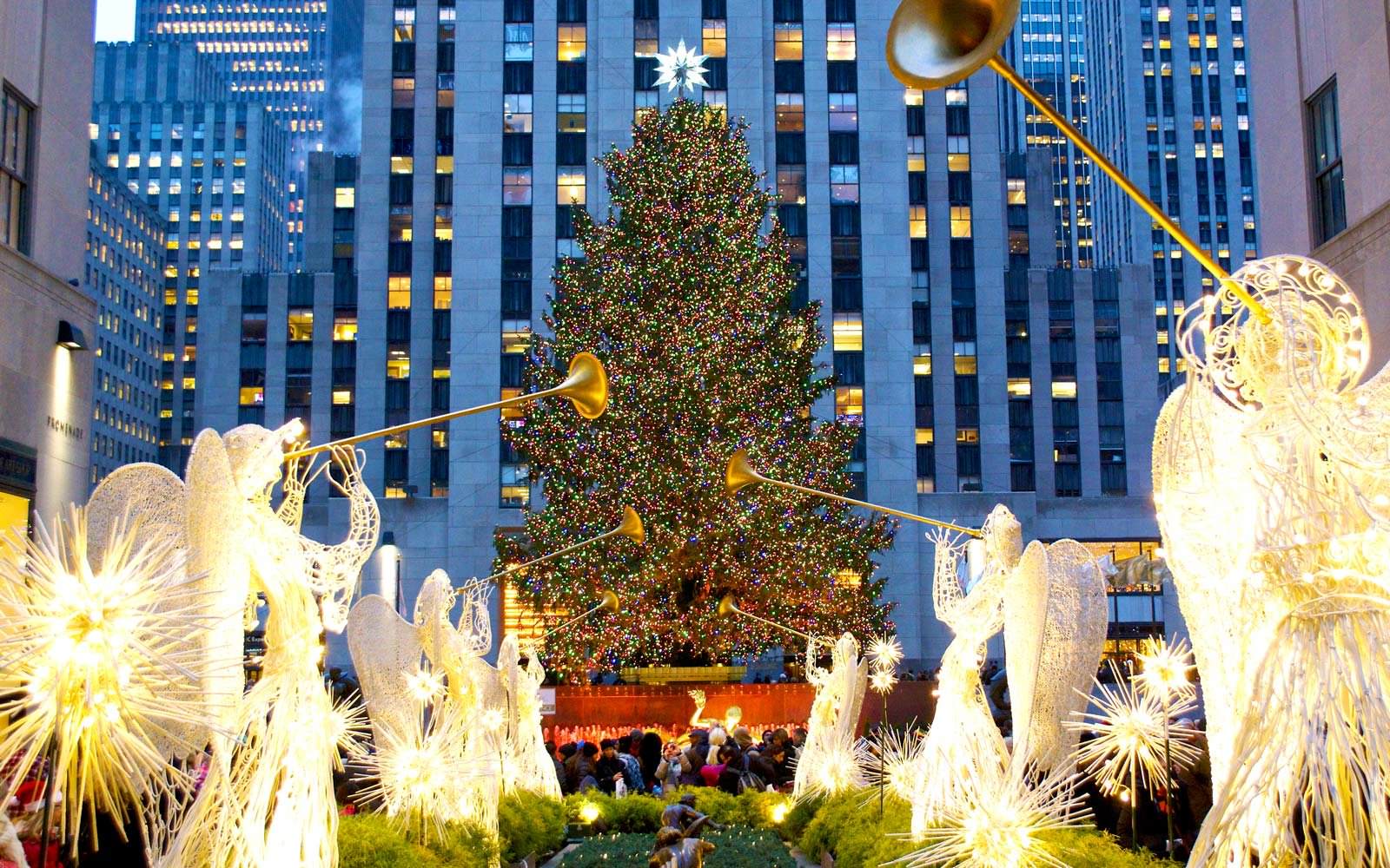 rockefeller-center-christmas-tree-ROCKTREE0817