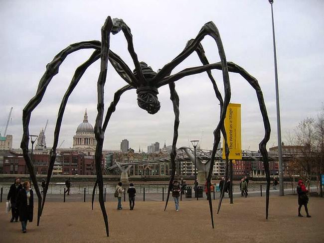 spider