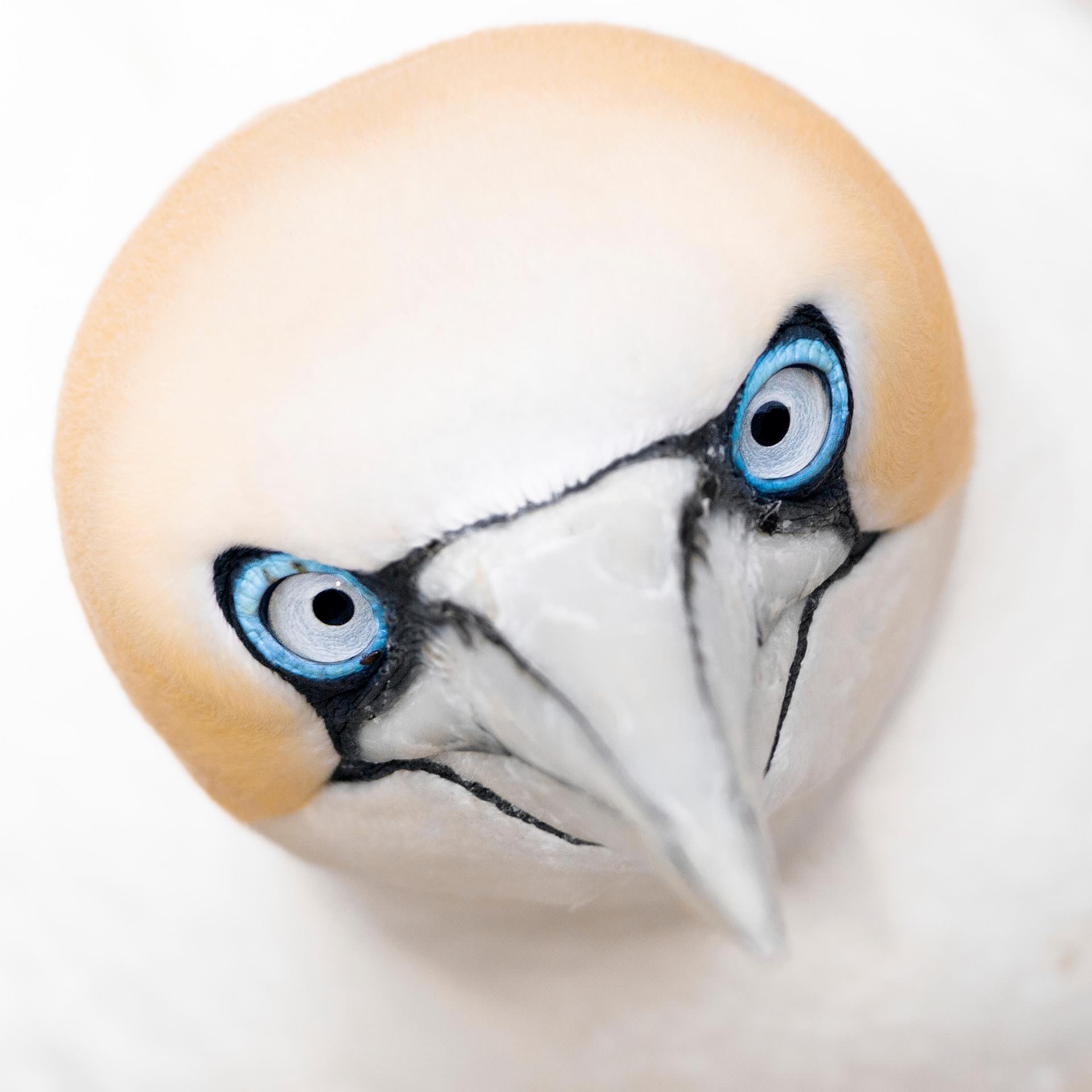 3543