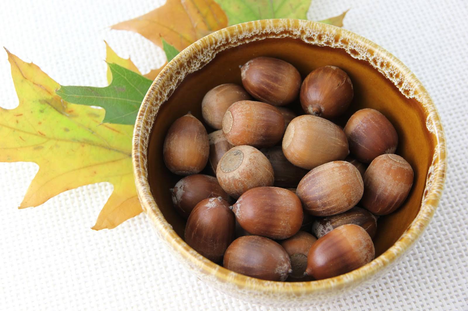 Dry-Acorns-for-Crafts-Step-7