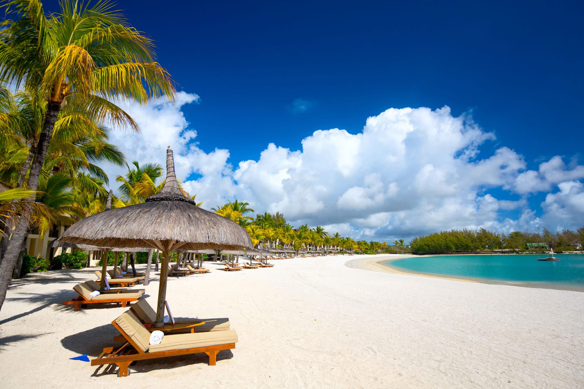 shutterstock_166315919-20141118-112949
