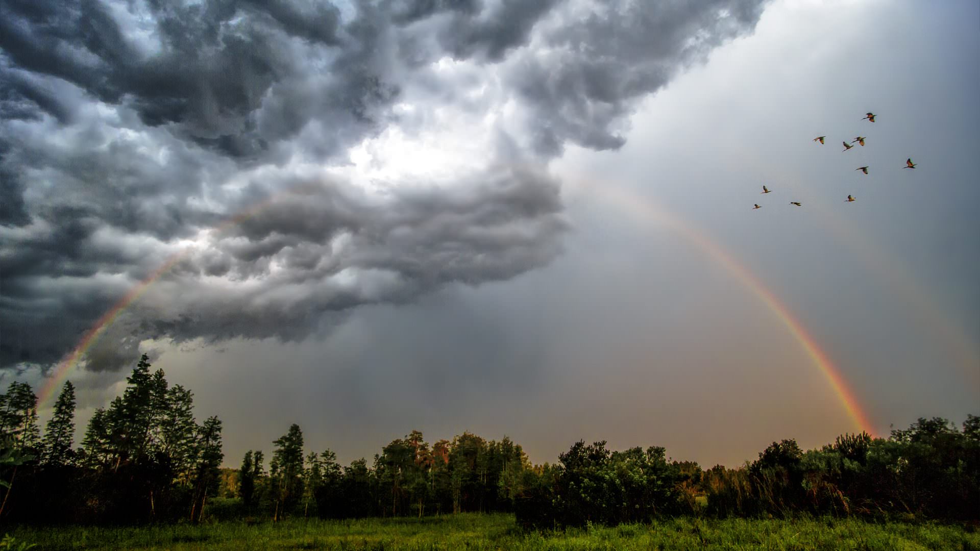 featured-rainbows