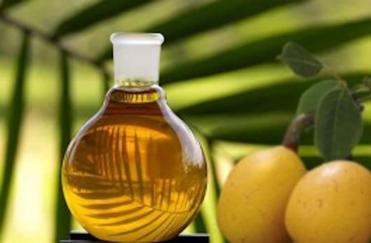 marula