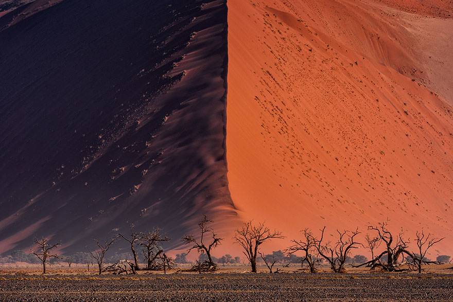 sony-world-photography-awards-winners-2018-36-5ab221fd9d632__880