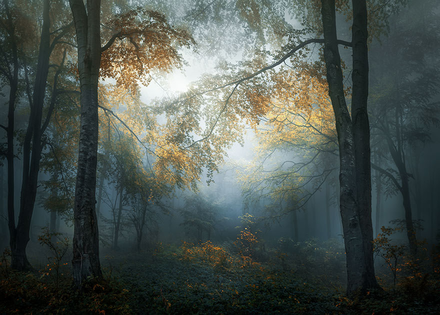 sony-world-photography-awards-winners-2018-47-5ab222143544b__880