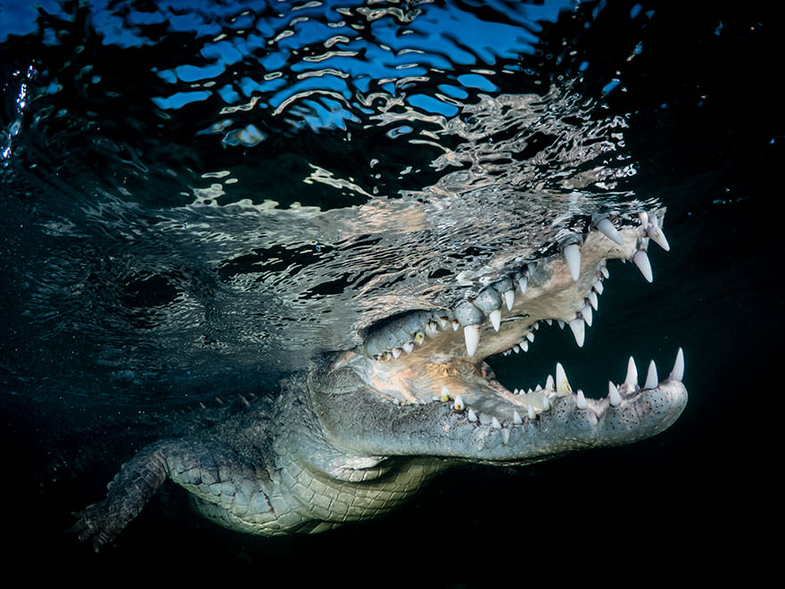 sony-world-photography-awards-winners-2018-90-5ab2226893559__880
