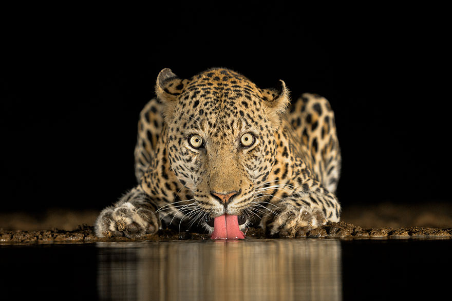 sony-world-photography-awards-winners-2018-91-5ab2226a57547__880
