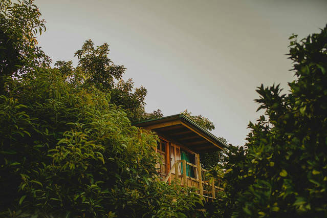 Orangia Farm, Λευκοχώρι Ηλείας