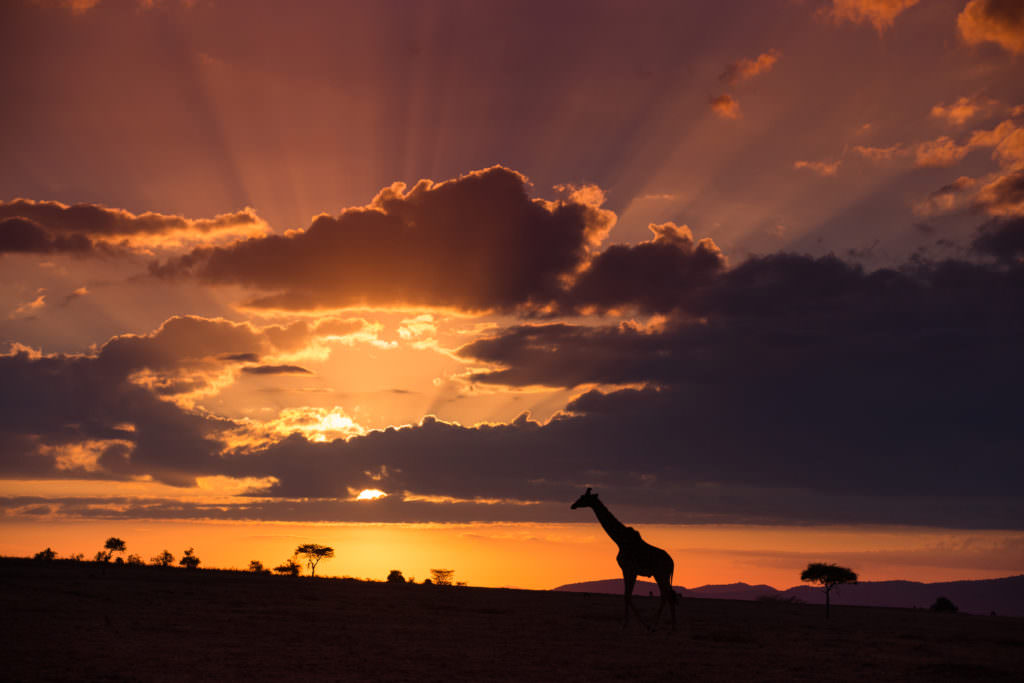 kenia-1024x683